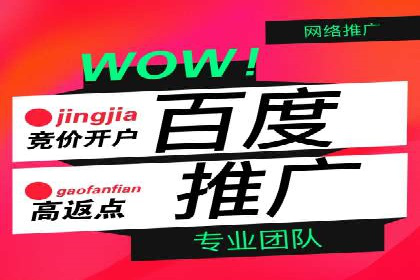 成功企业案例：竞价SEM托管助力业绩腾飞